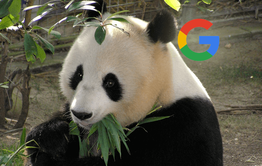 How to Rank Well on Google with the “Panda” Update