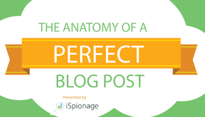 How to Craft a Perfect Blog [Infographic]
